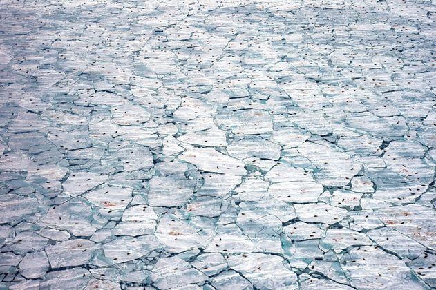 La mayor capa de hielo del mundo está en riesgo por el incremento de la temperatura