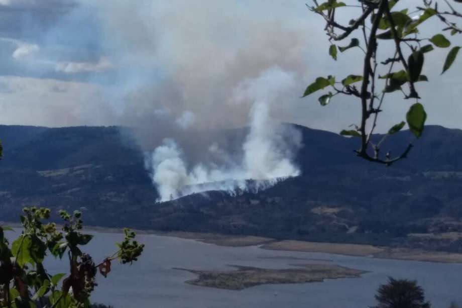 De acuerdo con el capitán Álvaro Farfán, delegado departamental de Bomberos de Cundinamarca, se estima que cerca de 15 hectáreas de bosque nativo han sido afectadas por el incendio forestal.