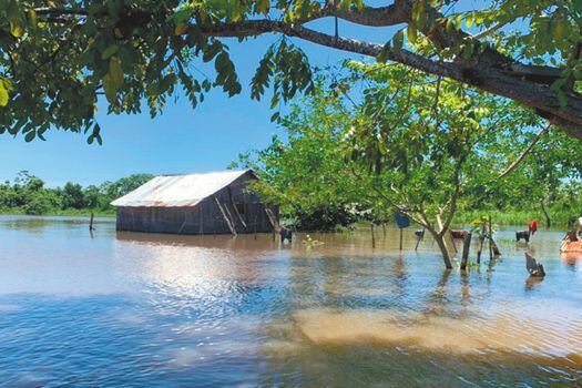 Las lluvias han dejado 14.508 familias damnificadas por cuenta de las inundaciones. / Cortesía