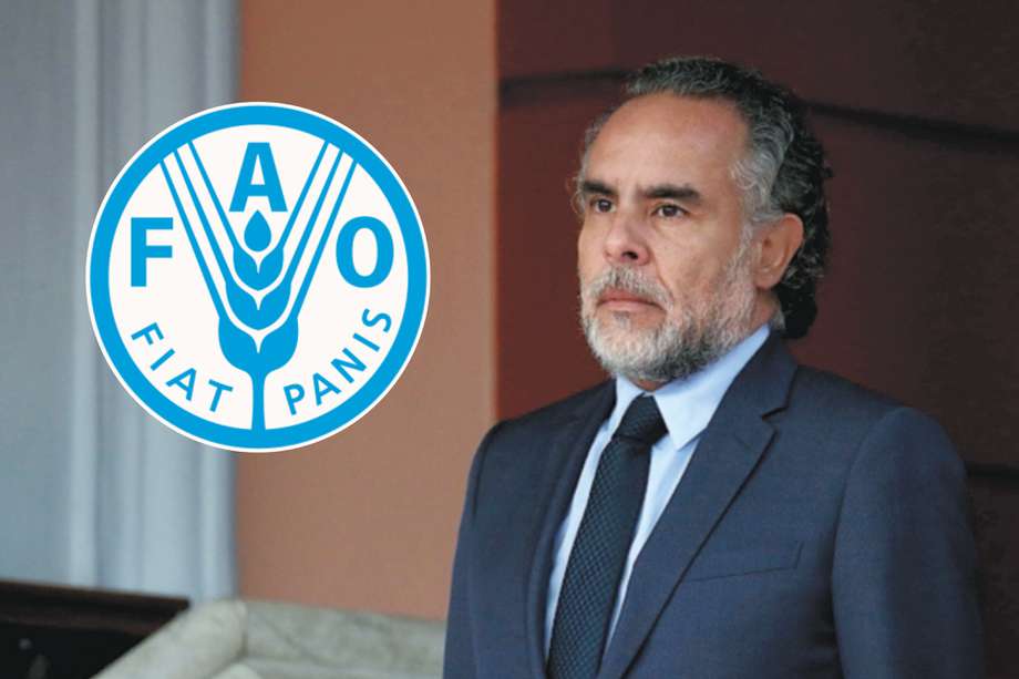 Antes del nombramiento de Benedetti, los temas relacionados con la FAO los venía gestionando el equipo liderado por la Embajada de Colombia en Italia, actualmente en cabeza de Ligia Margarita Quessep.