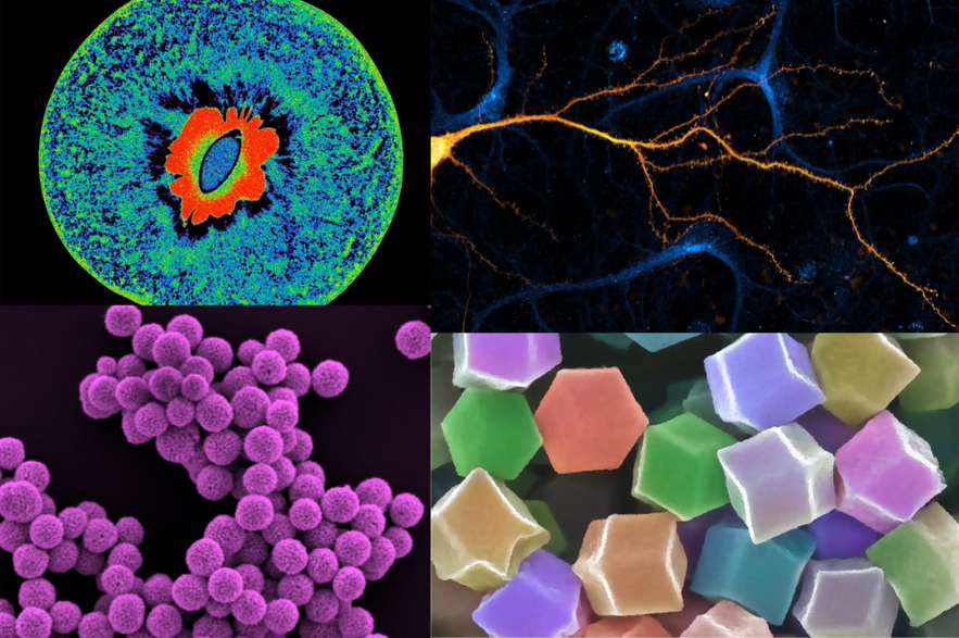 El concurso del Instituto Australiano de Bioingeniería y Nanotecnología