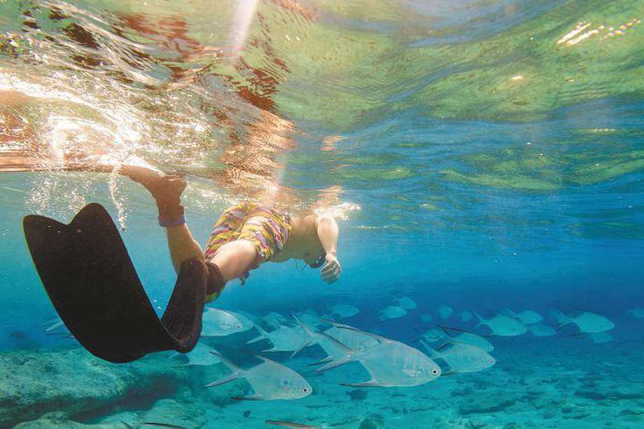 San Andrés es un destino ideal para hacer actividades acuáticas como el esnórquel. 