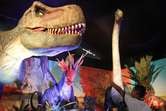 El T.rex no fue tan inteligente como se ha llegado a especular