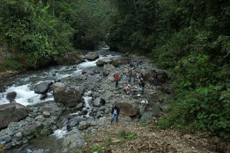Parques Nacionales Naturales de Colombia (PNN) es una entidad pública adscrita al Ministerio de Ambiente y Desarrollo Sostenible que administra el Sistema Nacional de Áreas Protegidas (SINAP) de Colombia. 