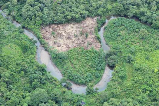 Una imagen que muestra la deforestación en el sur del Chocó. / Fondo de Acción