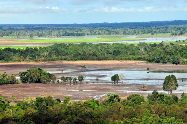 Anuncian 20 millones de dólares para la agricultura baja en carbono en Orinoquia