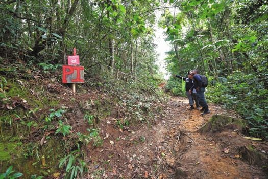 El camino con presencia de minas antipersonal comunica dos veredas y a la escuela rural