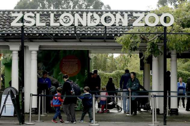 Ocho personas afectadas y un animal muerto tras incendio de un Zoológico en Londres