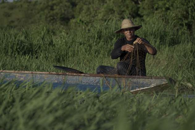 Con comunidades se busca recuperar las ciénagas donde nace la vida del río Cauca