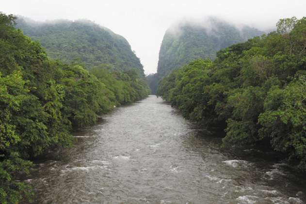 Alemania destina 7 millones de euros a la protección de la biodiversidad en Colombia