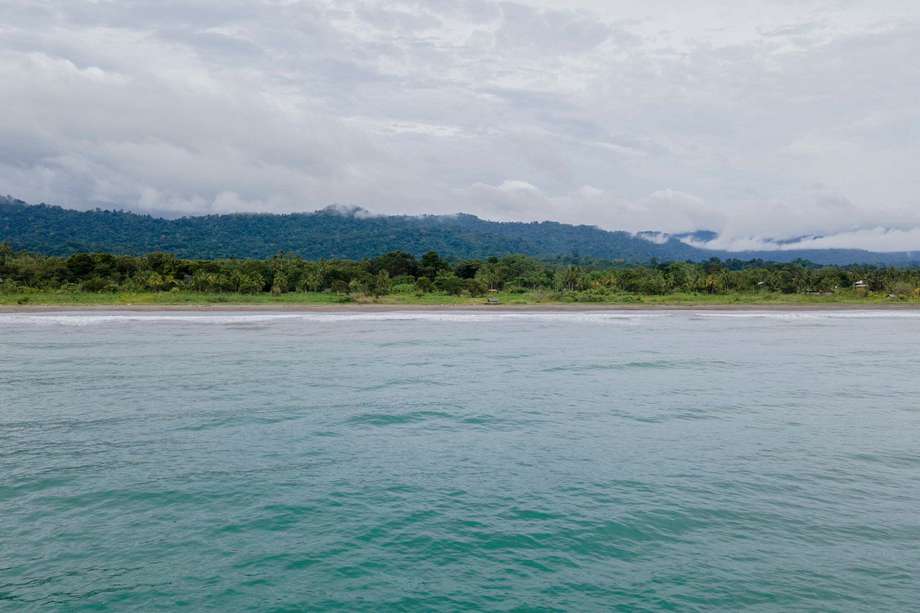 La Reserva de Biosfera del Darién Norte se extiende por 301,625.46 hectáreas en Colombia, con 185,371.5 hectáreas en tierra y 116,254 en el mar.