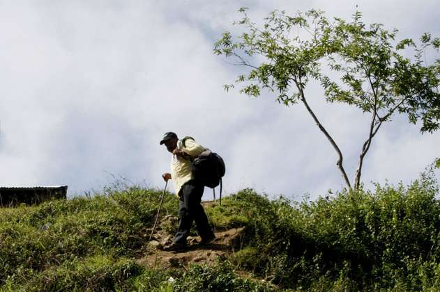 ‘Nos preocupan las falsas víctimas de despojo de tierras en Urabá': Asociación Tierra y Paz 