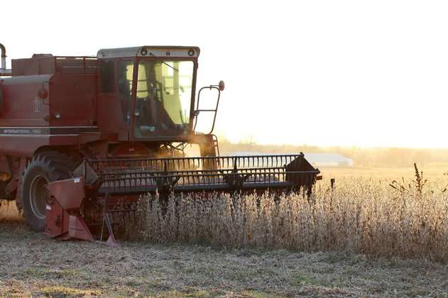 China pide a empresas estatales que suspendan compras agrícolas a EE.UU.