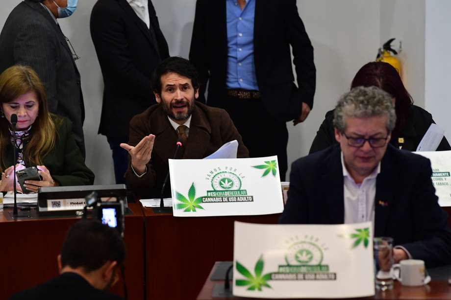 Representante a la Cámara durante la regulación del uso de Cannabis en la Comisión primera de la cámara