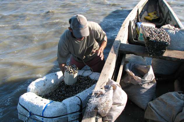 En busca de una ordenación pesquera participativa en Colombia