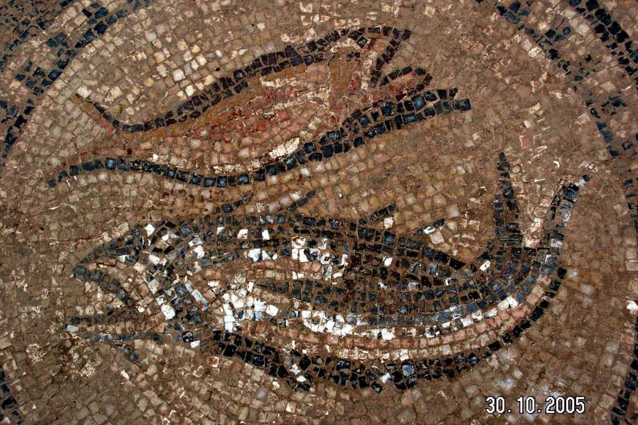 En esta foto publicada por la Autoridad de Antigüedades de Israel (IAA), tomada el 31 de octubre de 2005, se ve un mosaico que representa dos peces, un antiguo símbolo cristiano, en el piso de lo que puede ser la iglesia cristiana más antigua encontrada en Israel y que fue reportada en la televisión local el 5 de noviembre de 2005 en Megido, Israel. Las ruinas del edificio, que se descubrió recientemente en los terrenos dentro de la prisión de Megido cerca del sitio bíblico de Armagedón en el norte de Israel, datan del siglo III-IV d.C.  (Photo by IAA via Getty Images)