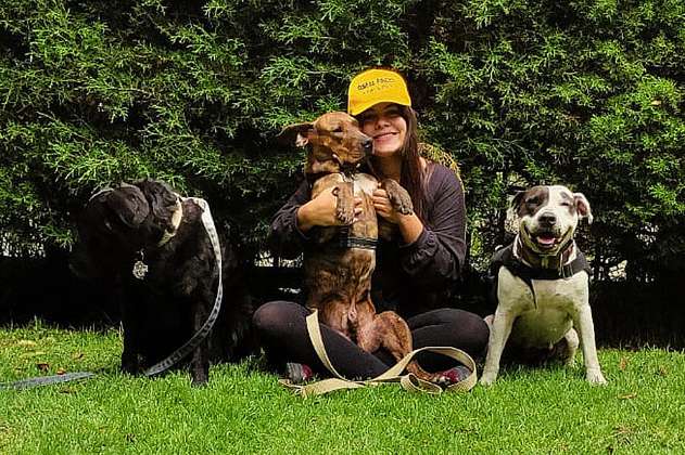 La Fundación Colitas Felices cuida 135 perros callejeros y busca apoyo
