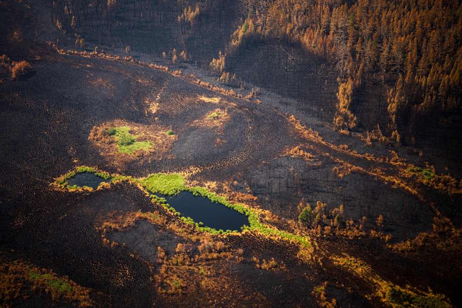 Un incendio forestal en el área de Yakutsk, Siberia.