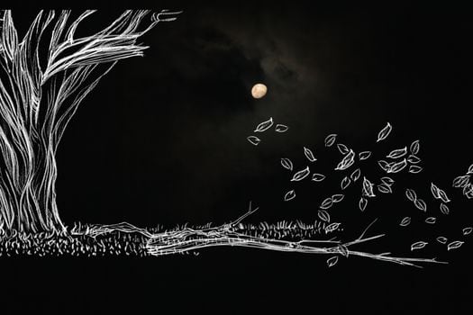 Muestra de una de las animaciones presentes en “El Árbol de Matías”, documental dirigido por Pilar Perdomo.