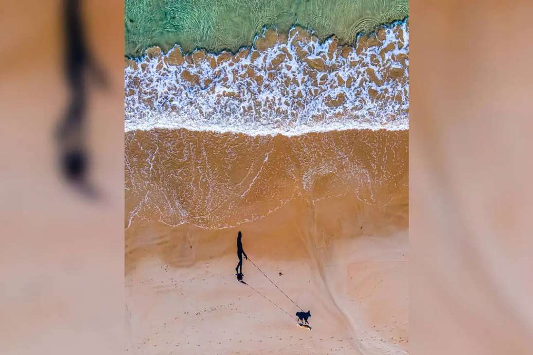 El fotógrafo Russell Charters, se llevó el tercer lugar con esta fotografía tomada con su dron de su pareja y su perra, Luna, caminando por la playa.