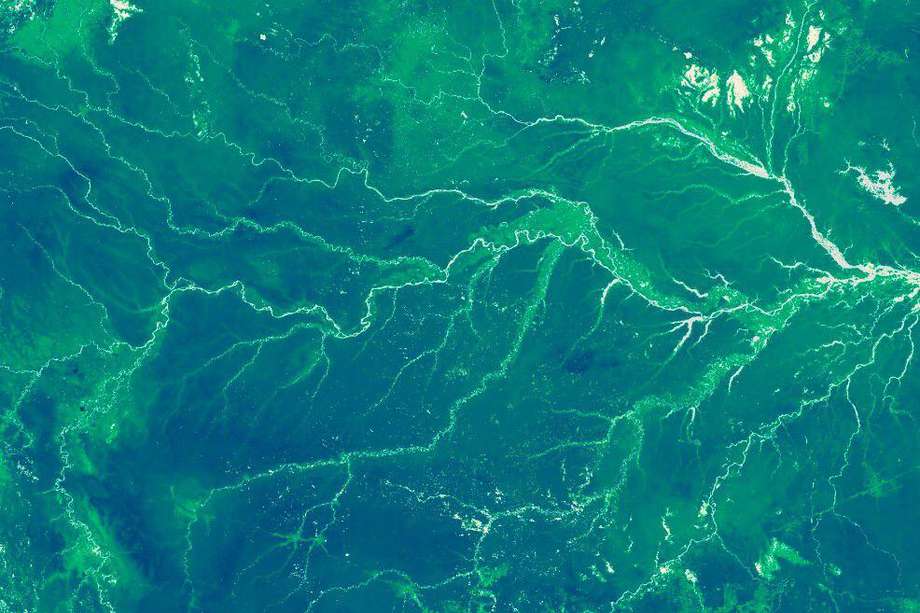 Imagen del Amazonas tomada por el NASA Earth Observatory en 2010.