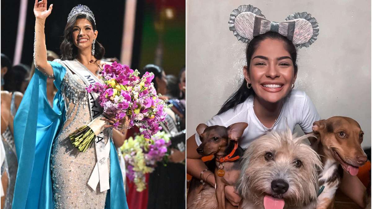 Sheynnis Palacios, Miss Universo 2023, é resgatadora de cães e gatos vadios |  Notícias hoje