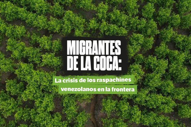 Migrantes de la coca: la crisis de los raspachines venezolanos en la frontera
