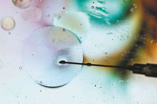 Descubren una proteína en los óvulos que podría mejorar tratamientos de infertilidad