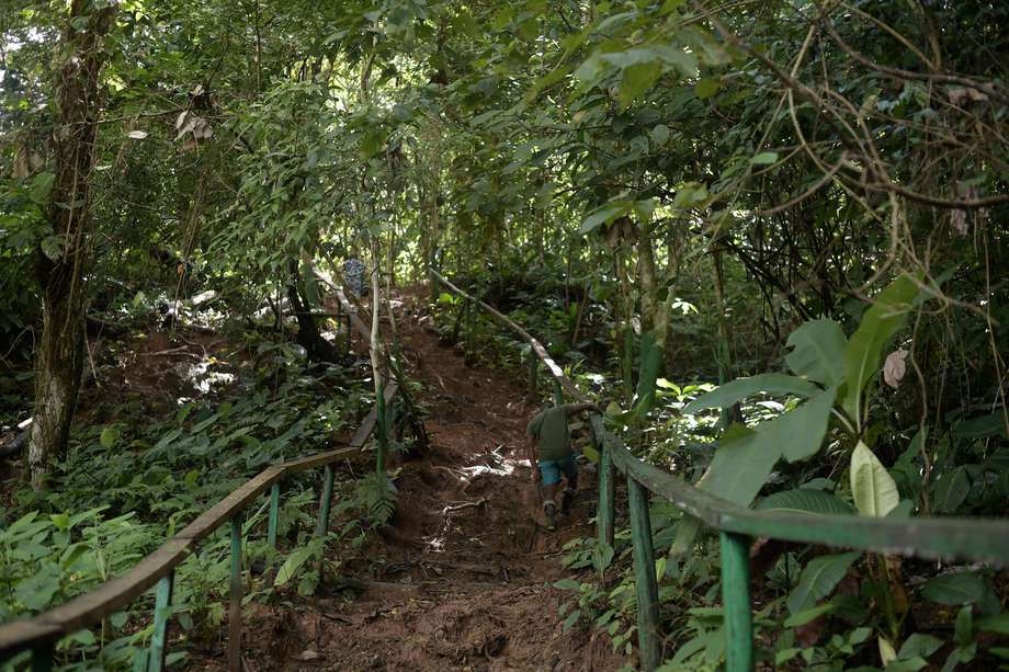 Bahía Solano, en Chocó, es uno de los puntos que deberían conservarse para proteger las plantas útiles de Colombia. 