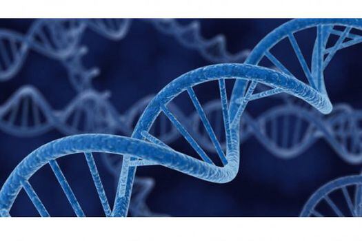 Nuevo sistema de lectura de ADN podría ayudar a entender la evolución humana