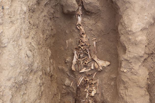 Descubren restos humanos con más de mil años de antigüedad en Perú