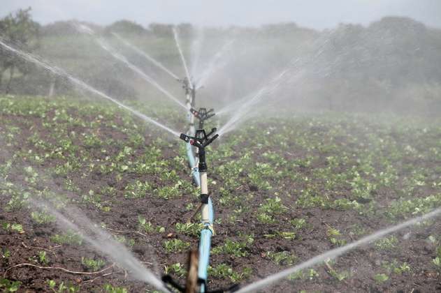Tecnologías para producir alimentos con menos irrigación, tema del Foro del Agua
