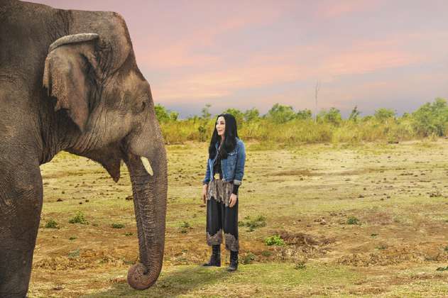 “Cher y el elefante más solitario”, un rescate casi imposible