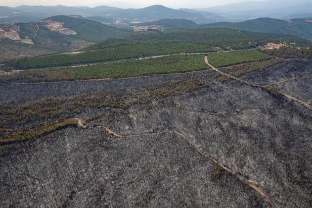 Así quedó Turquía tras los incendios que destrozaron más de 50.000 hectáreas