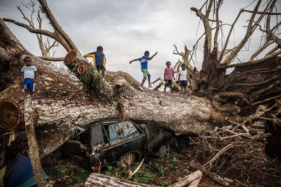 Niñas y niños juegan en el tronco de un árbol arrancado por un ciclón en Vanuatu.
