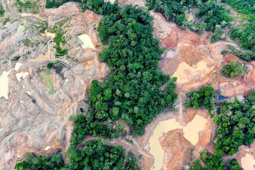 Datos de la Fundación Ecociencia muestran que, en poco más de cinco años, se han deforestado 1 660 hectáreas por minería aurífera en la Amazonía ecuatoriana.