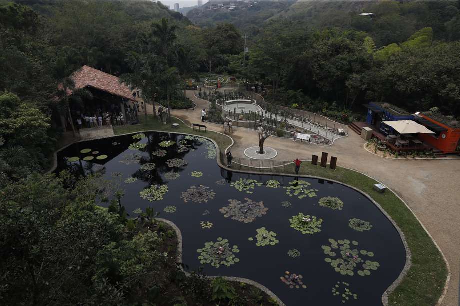 El Jardín Botánico de Cali se caracteriza por estar dentro de un bosque seco tropical, “que es un ecosistema que en Colombia se ha perdido en un 93 %, pues es el bosque más fácil de tumbar”, explicó María Clara Domínguez, directora de la Fundación Zoológica de Cali. 