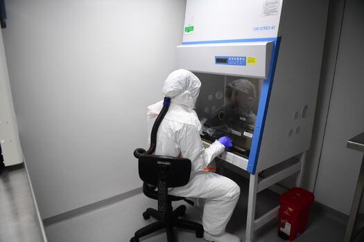 En estas cabinas de seguridad biológica se trabaja con los virus “vivos”. Aquí se pueden realizar secuenciación genética, por ejemplo.