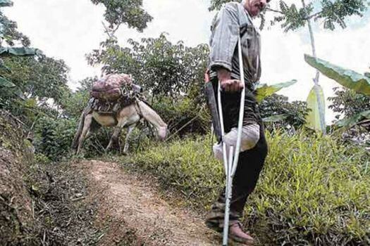 Gobierno capacitó a 8.680 personas contra el riesgo de minas antipersona