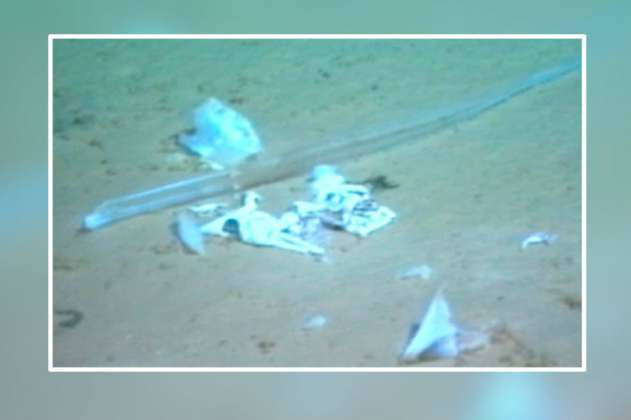 Una bolsa de plástico es hallada en el lugar más profundo del océano