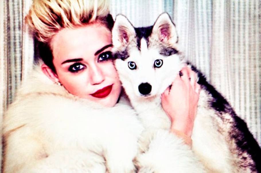 Miley Cyrus está inconsolable tras la muerte de su perro