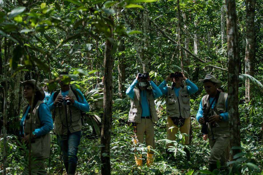 Exploradores forestales: los guardianes del bosque en la Amazonia colombiana