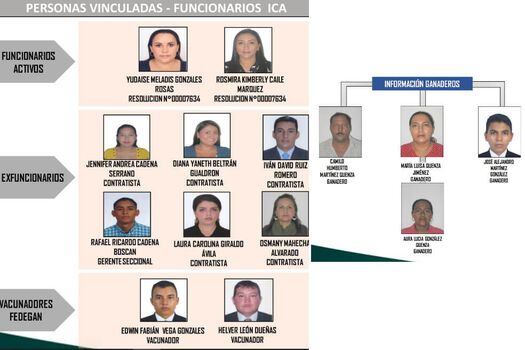 Estos son los funcionarios y miembros de los Quenza vinculados a la investigación.  / Cortesía Policía Fiscal y Aduanera