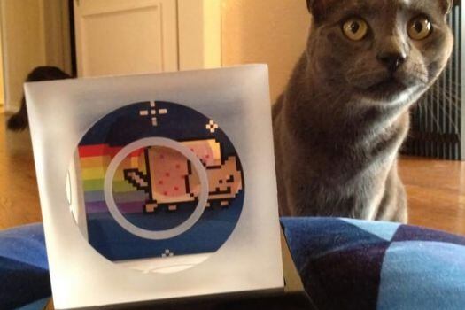 Fotografía personal cedida hoy por Chris Torres donde aparece un gato junto a un peluche del gato Nyan, un meme que ahora la comunidad de internet considera un icono del siglo XXI, y que se ha vendido por más de 600.000 dólares. 
