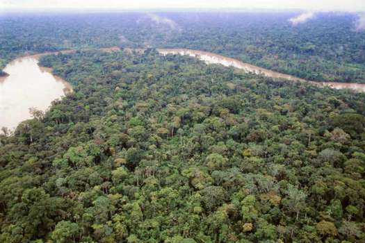 El 17 % de la selva ha sido destruida, sin embargo grandes áreas se mantienen en buenas condiciones. La Amazonía, no obstante, sigue cambiando de manera acelerada. / Archivo