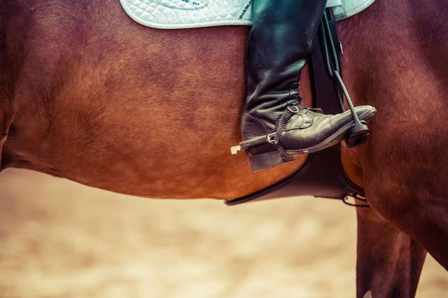 Reportan caballos heridos durante el regreso de las cabalgatas en Villavicencio