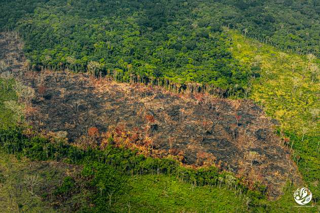 Fotos: Así ha afectado la deforestación a la Amazonía colombiana