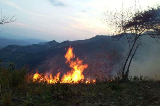 Los incendios se han logrado controlar en algunas veredas del departamento. / Corporación Autónoma Regional de Cundinamarca (CAR)