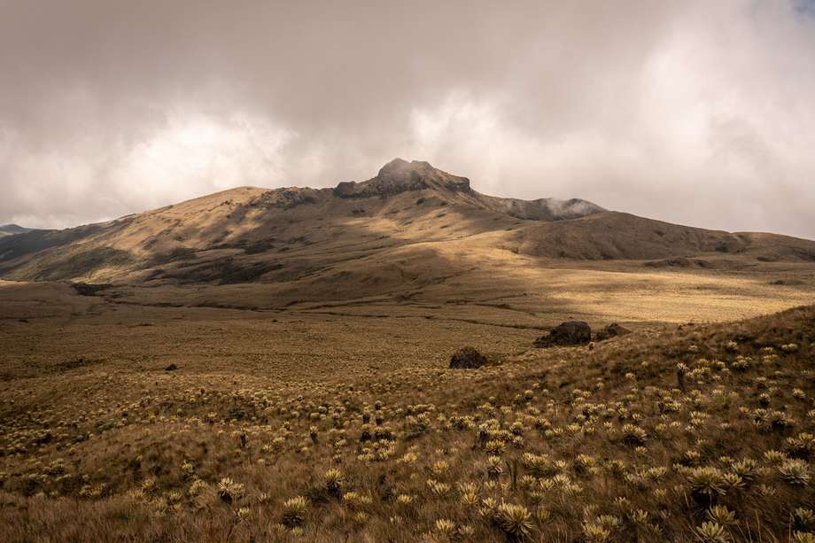El volcán Sotará, en Cauca, es uno de los más inexplorados del país y está ubicado en un resguardo indígena que logró convertirse en un rincón de paz en el departamento.