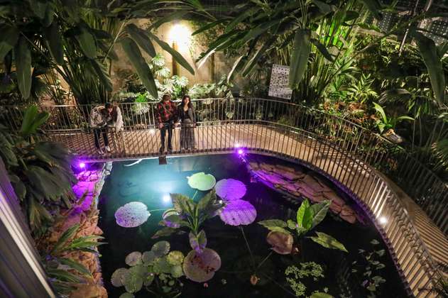 Prográmese para la noche mágica del Jardín Botánico de Bogotá